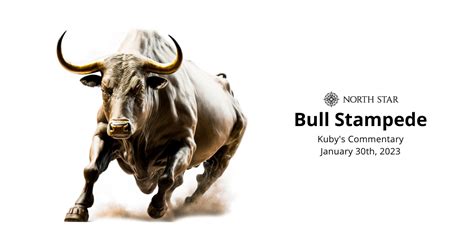 Bull Stampede Bodog