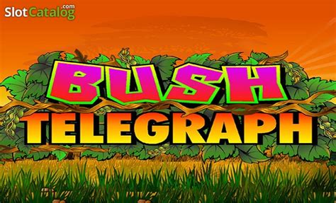 Bush Telegraph 1xbet