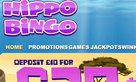 Hippy bingo casino bonus