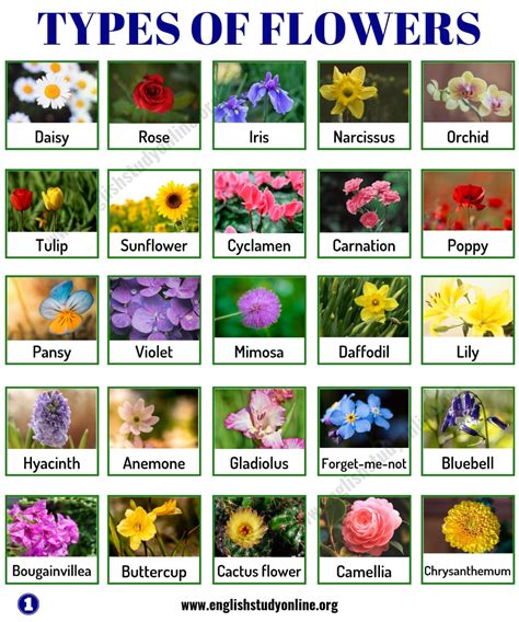 Jogue 8 Flowers online