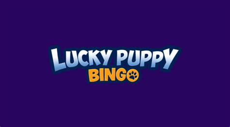 Lucky puppy bingo casino aplicação