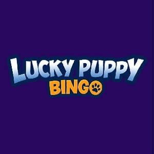 Lucky puppy bingo casino codigo promocional