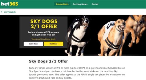 Red Dog bet365